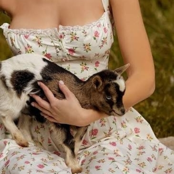 House Of CB Tatiana Rose Print Sundress - Picture 4 of 5